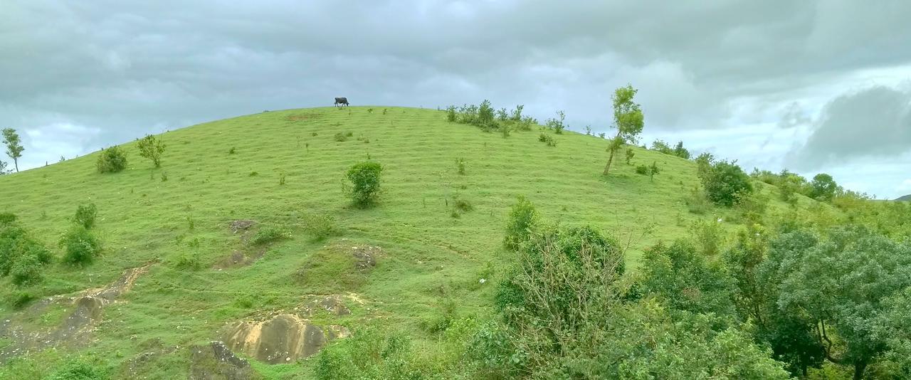 Vagamon Clouds Hotel Exterior photo