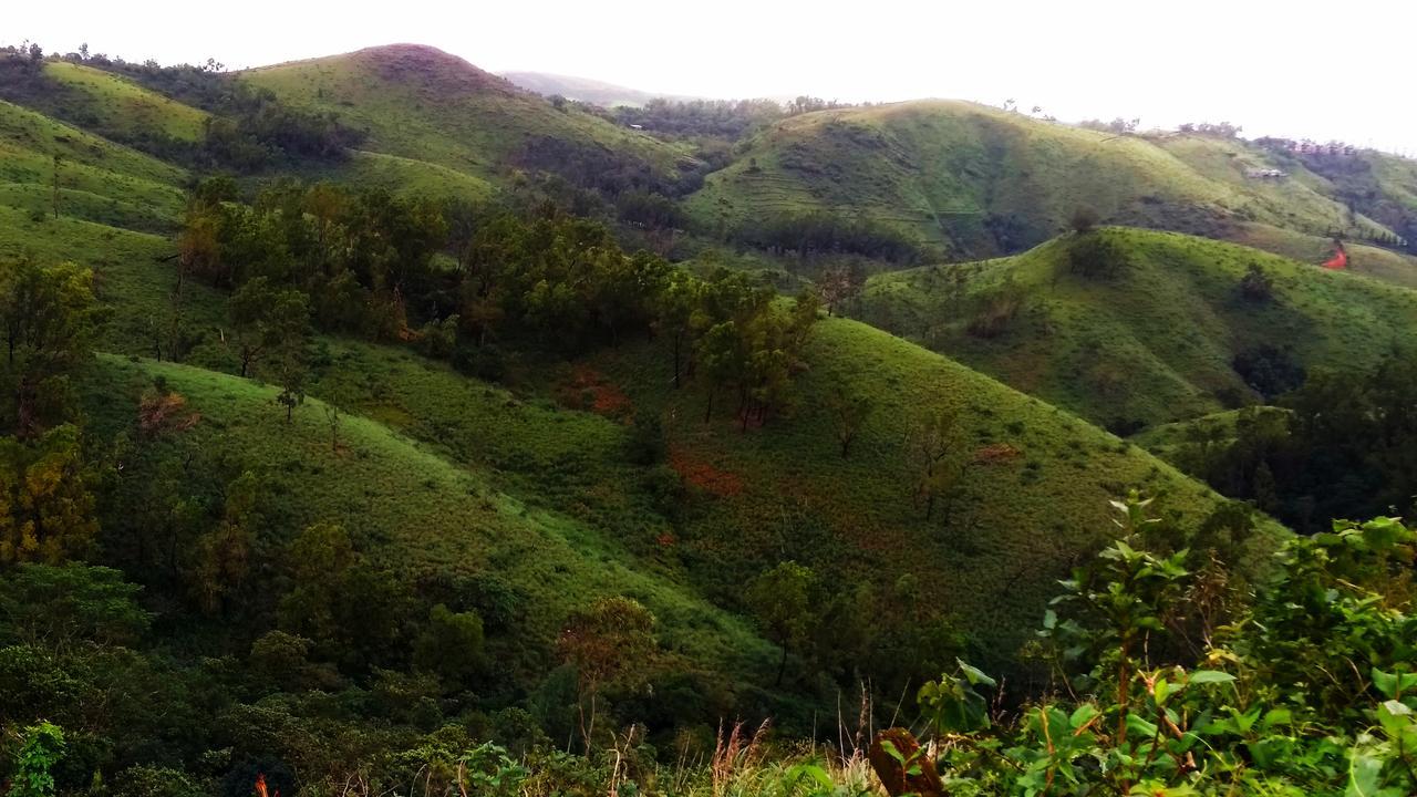 Vagamon Clouds Hotel Exterior photo